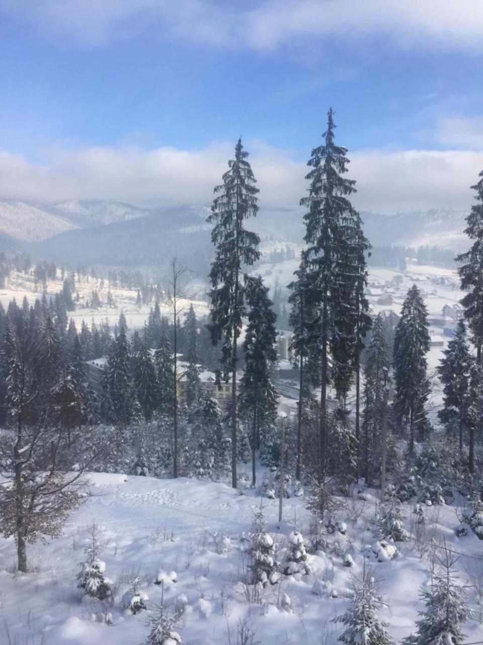 Chalet Shepit Karpat بوكوفِل المظهر الخارجي الصورة