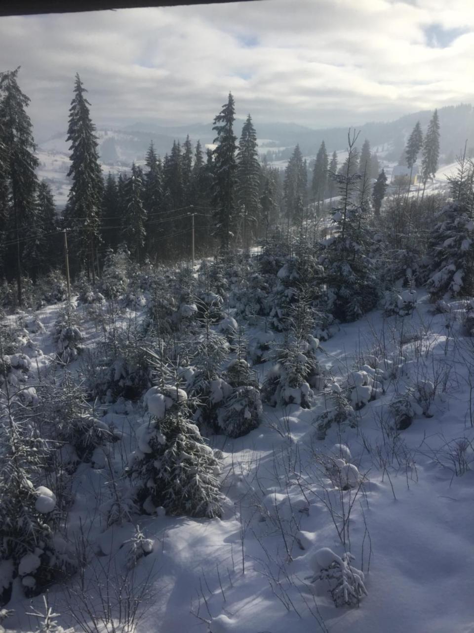 Chalet Shepit Karpat بوكوفِل المظهر الخارجي الصورة