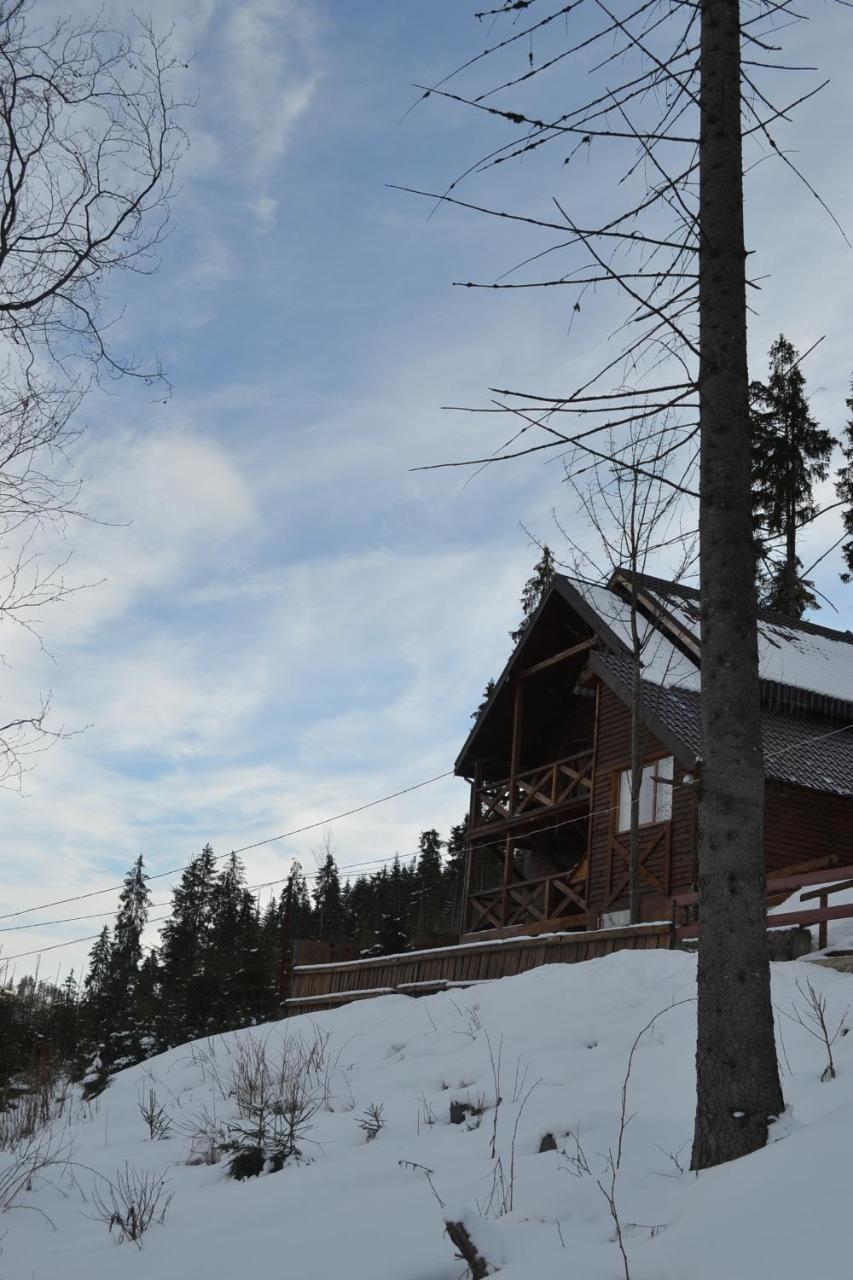 Chalet Shepit Karpat بوكوفِل المظهر الخارجي الصورة