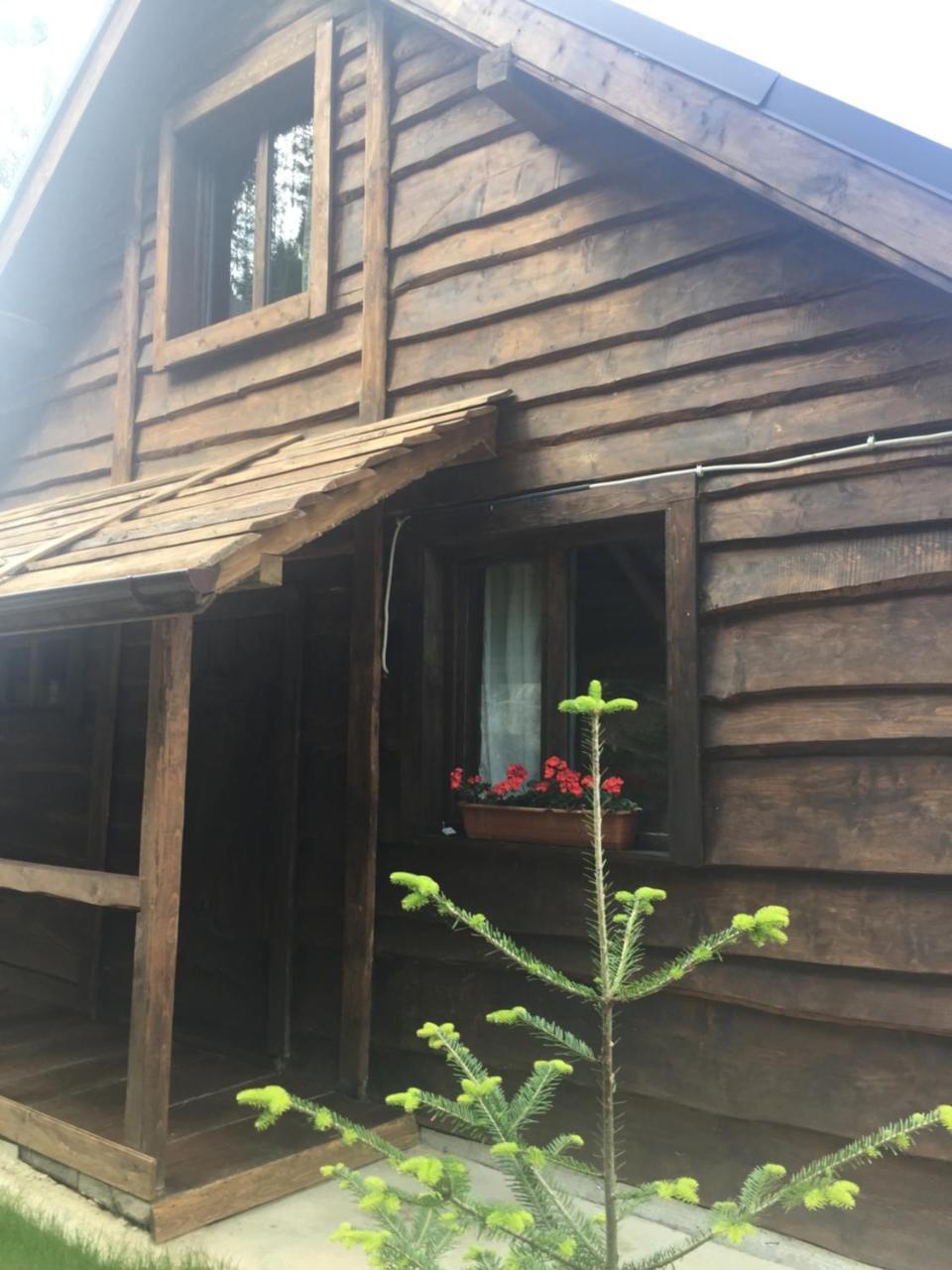 Chalet Shepit Karpat بوكوفِل المظهر الخارجي الصورة