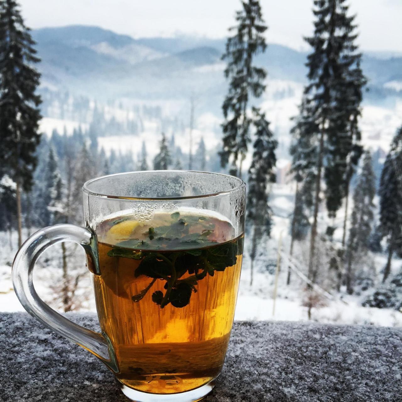 Chalet Shepit Karpat بوكوفِل المظهر الخارجي الصورة