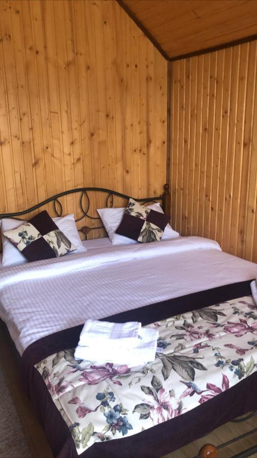 Chalet Shepit Karpat بوكوفِل المظهر الخارجي الصورة